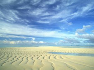 Antarctic Desert