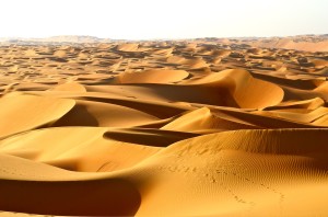 Arabian Desert