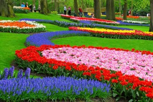 Keukenhof Gardens