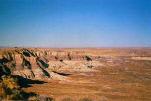 Patagonian Desert